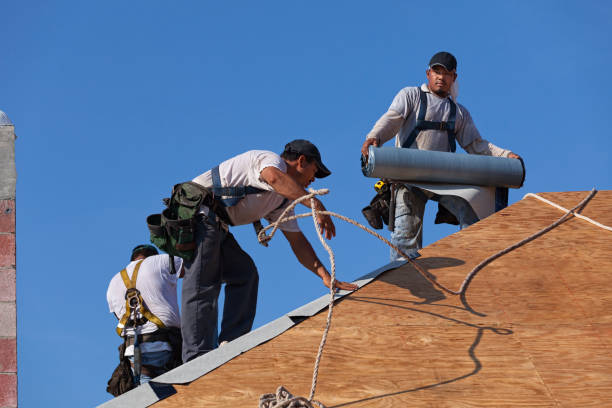 Best Storm Damage Roof Repair  in Neffs, OH